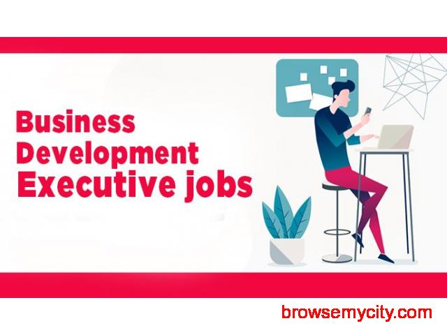 business-development-executive-jobs-employndeploy-125343