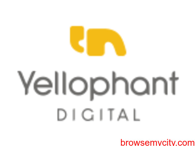 Top Media Planning company in Mumbai - Yellophant Digital - 1/1