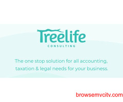Funding Compliance Lawyer for Startups in India - Treelife Consulting