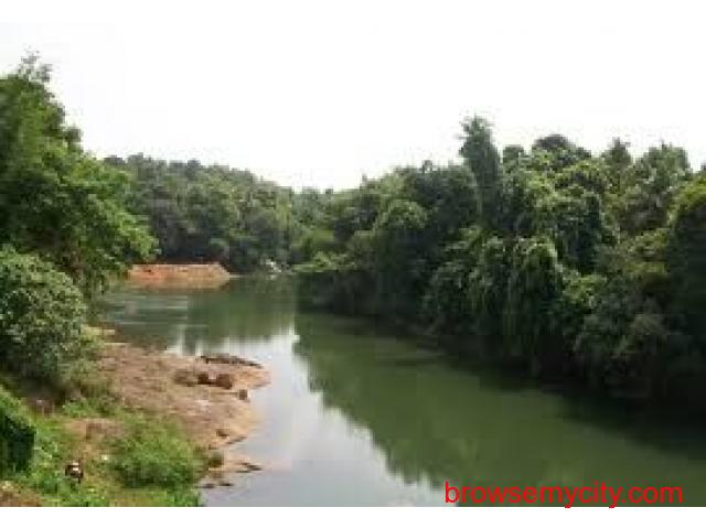 1.75 acre land with house in cheruvally near proposed airport - 21275