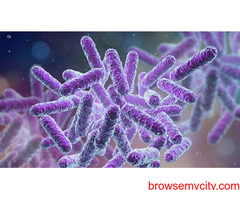 Difference between BSc Medical Microbiology and BSc Microbiology