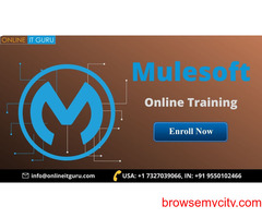 Learn mulesoft online | mule esb training