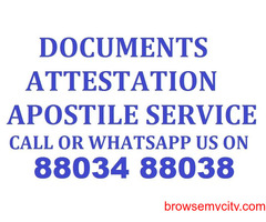 Documents Apostile and Attestation Services Call 88034 88038