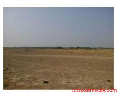 Orange County Residential Plots For Sale In Dholera SIR