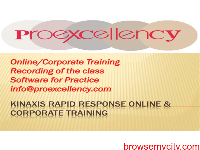 Kinaxis Rapid Response Online Training By Proexcellency - 1/1