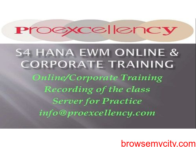 S4HANA EWM Online Training By Proexcellency - 1/1