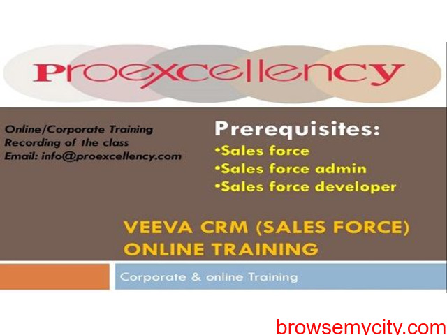 Proexcellency Provides Veeva CRM Online Training - 1/1