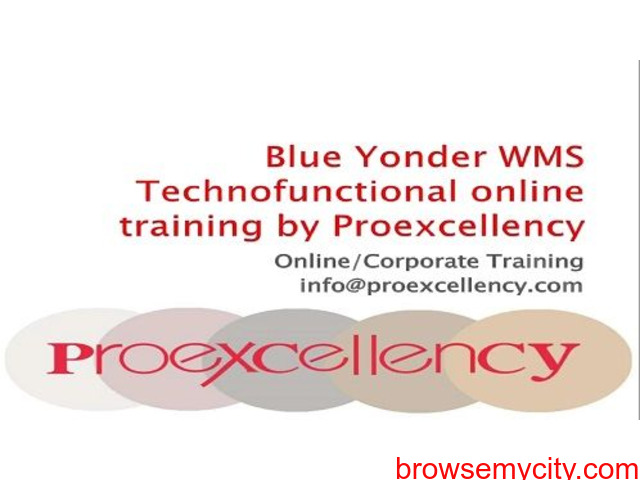 Blue Yonder WMS Training By Proexcellency - 1/1
