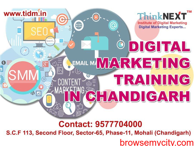Digital Marketing Course in Chandigarh | Digital Marketing Institute in Chandigarh - TIDM - 2/2