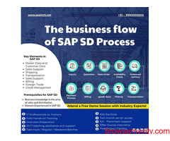 SAP SD Course Training in Pune | SAP SD Classes in pune