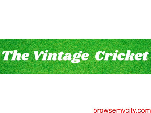The vintage cricket - 1/1