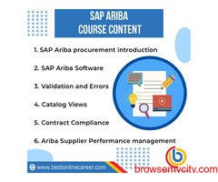 sap ariba procurement training| ariba sourcing training |ariba procurement system
