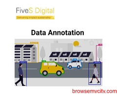 Why use Data Annotation?