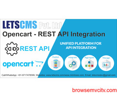 Opencart REST Admin API | eCommerce REST API Integration Opencart