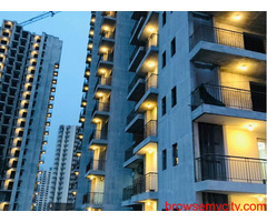Buy Morpheus Bluebell 2BHK Flat for 40 lacs in Noida Ext.