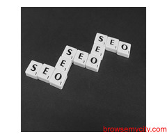 Are You Seraching seo Services?