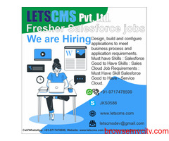 Fresher Salesforce Jobs In Aligarh, Vacancies