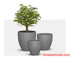 Buy pots and planters online