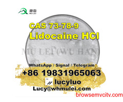 99% Purity Powder Lidocaine Hydrochloride BP USP standard Lidocaine hcl for sale