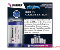 Buy LR6 Battery in cheap price Immense