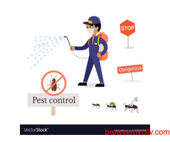 Free Pest Inspection - Pest Control Services in Noida - Quality and Eco-Friendly