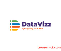 DataVizz - Best Serverless Companies in Ahmedabad
