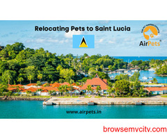 Relocating Pets to Saint Lucia