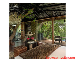 Best Tree House Resorts in Delhi NCR- IRA Luxe