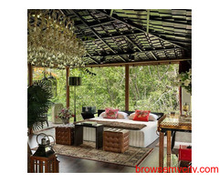 Beautiful Tree House Resorts near Delhi for Couples- Ira Luxe