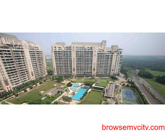 DLF Aralias Apartment on Golf Course Road on Rent
