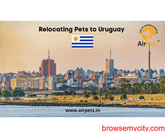 Relocating Pets to Uruguay