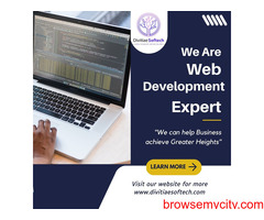 9773663776 Custom Web design and Development Services In Delhi