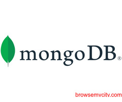 MongoDB training in NOIDA.