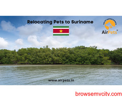 Relocating Pets to Suriname