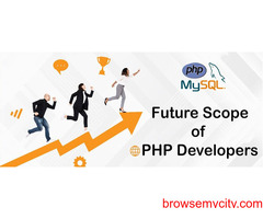 Future Scope of PHP Developers