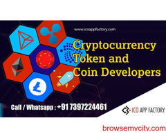 Cryptocurrency Token and Developers