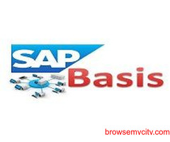 SAP BASIS training in NOIDA.