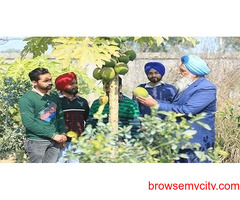 Best Agriculture College in Punjab | Agriculture University In Punjab
