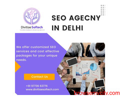 SEO AGENCY IN Delhi | 9773663776 | e-Commerce SEO Company