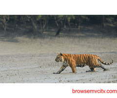 Wonderful Sundarban Package Tour Booking - Kolkata to Kolkata