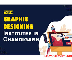 Top 5 Graphic Designing Training Institutes in Chandigarh