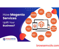 How Magento Services Uplift Your Business? - Amigoways