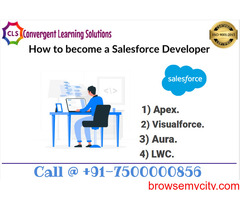 Salesforce training in NOIDA.