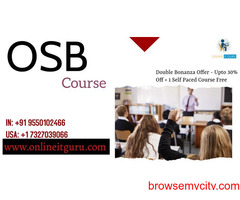 OSB Certification Training | OSB Online Course