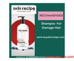 Recommended Shampoo For Damaged Hair | Skin Recipe