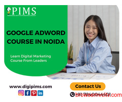 PIMS - Best Google Ads Training in Noida