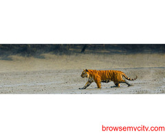 Book Sundarban Package Tour - Best Deal from NatureWings
