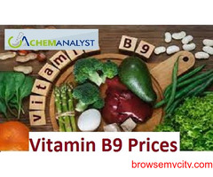 Vitamin B9 Prices Trend and Forecast