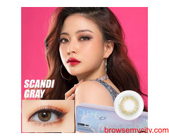 SCANDI GREY 1DAY COLORED CONTACT LENSES GURGAON