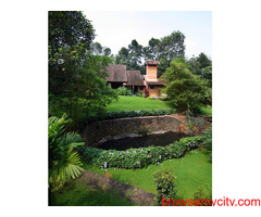 Tropical Architecture Kerala